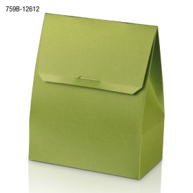 GB040-袋形盒